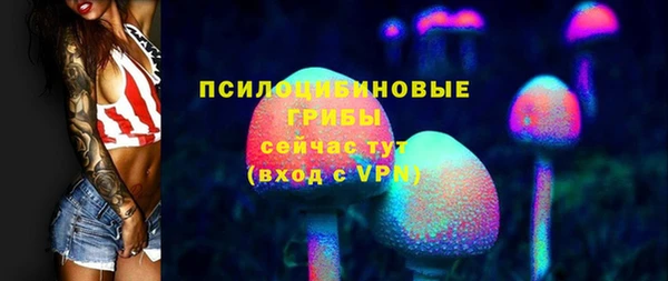 кокс Белокуриха