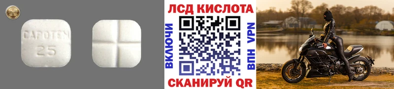 как найти наркотики  Ковдор  Лсд 25 экстази ecstasy 